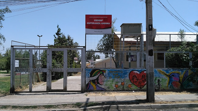 Opiniones de Centro Comunitario de Salud Familiar General Carol Urzúa Ibáñez en Peñalolén - Médico