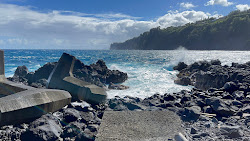 Laupahoehoe Beach'in fotoğrafı vahşi alan
