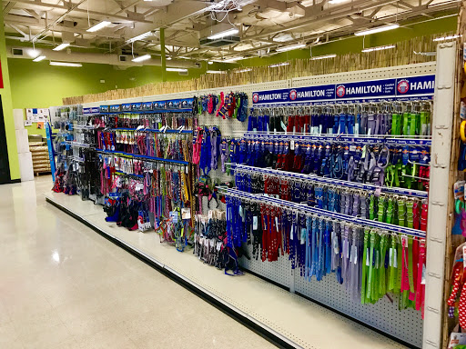 Pet Supply Store «Pet Club S Avondale», reviews and photos, 11435 W Buckeye Rd a106, Avondale, AZ 85323, USA