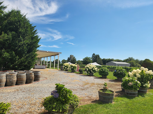 Winery «Laurel Lake Vineyards», reviews and photos, 3165 Main Rd, Laurel, NY 11948, USA
