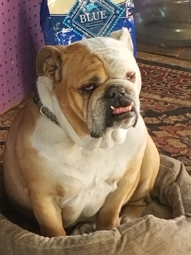 Tobacco Shop «Blown Glass Gifts», reviews and photos, 236 E Bridge St Unit A, Brighton, CO 80601, USA