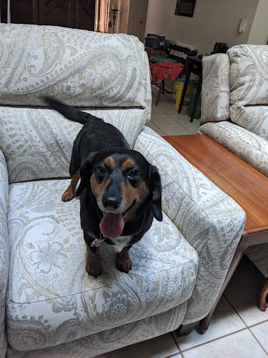 Furniture Store «Havertys Furniture», reviews and photos, 645 FL-436, Altamonte Springs, FL 32714, USA