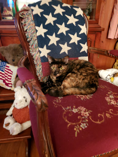 Supermarket «Publix Super Market at University Walk», reviews and photos, 2875 University Pkwy, Sarasota, FL 34243, USA