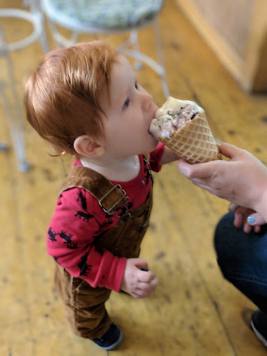 Ice Cream Shop «Blueberry Hill Dairy Bar», reviews and photos, 355 High St, Ellsworth, ME 04605, USA