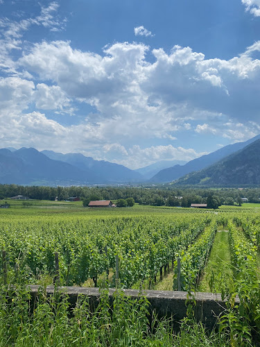 Rezensionen über Wine Tours Switzerland in Chur - Reisebüro
