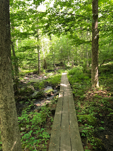 State Park «Ames Nowell State Park», reviews and photos, Linwood Street, Abington, MA 02351, USA