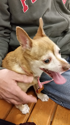 Pet Supply Store «PetSmart», reviews and photos, 2360 W Oregon Ave, Philadelphia, PA 19145, USA