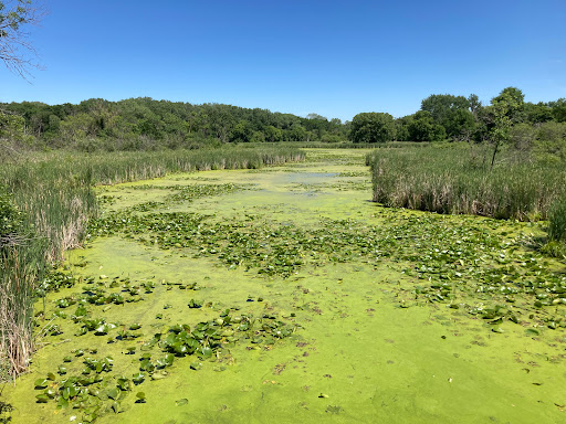 Park «French Regional Park», reviews and photos, 12605 Rockford Rd, Plymouth, MN 55441, USA