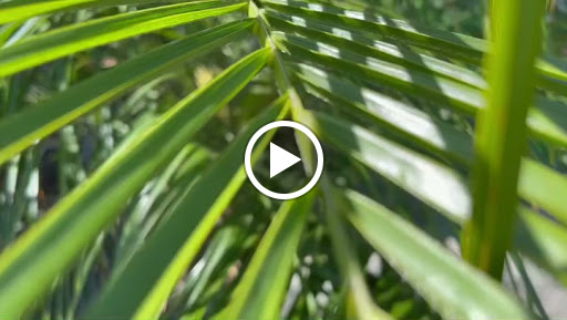 Day Spa «California Skin Care & Day Spa», reviews and photos, 6180 Jarvis Ave, Newark, CA 94560, USA