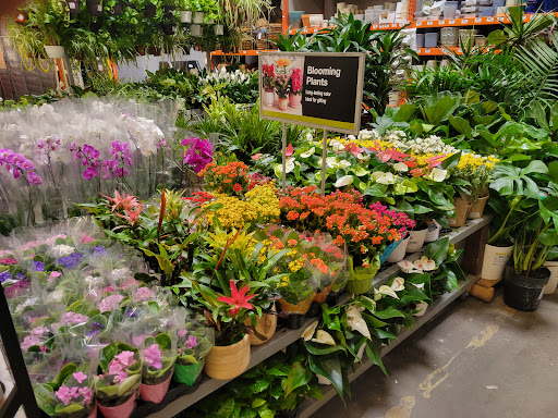 Home Improvement Store «The Home Depot», reviews and photos, 6345 Variel Ave, Woodland Hills, CA 91367, USA