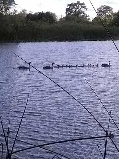 Park «Marquette Park», reviews and photos, 6743 S Kedzie Ave, Chicago, IL 60629, USA