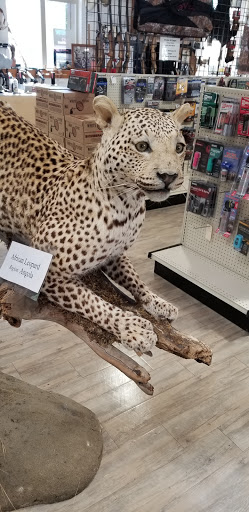 Sporting Goods Store «Mosquito Creek Outfitters», reviews and photos, 3000 Mosquito Rd, Placerville, CA 95667, USA