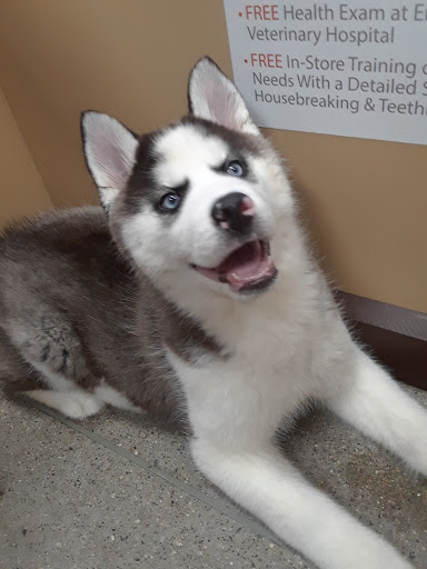 Pet Supply Store «Pet Supplies Plus», reviews and photos, 1810 Declaration Dr, Independence, KY 41051, USA