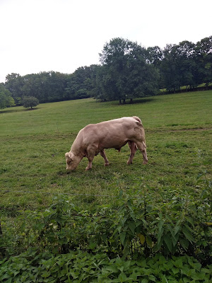 Bourogne à Bourogne