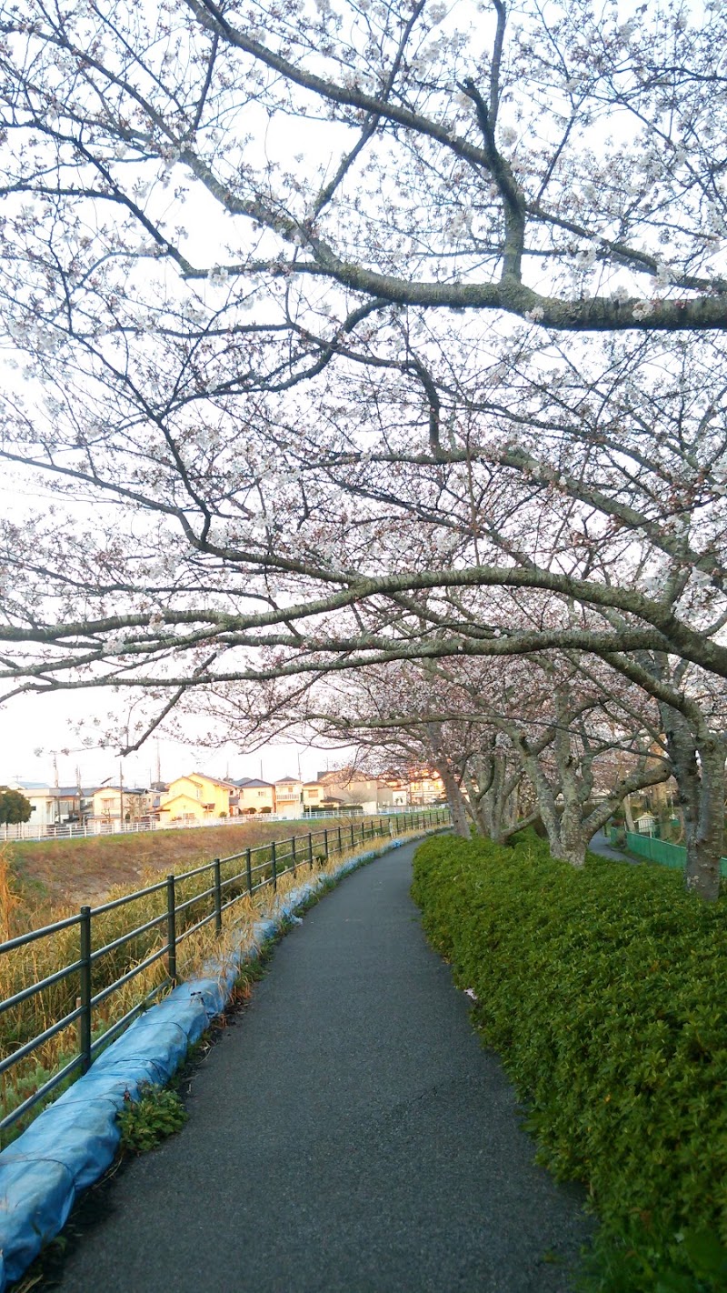 下井戸公園