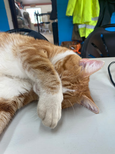 Landscaping Supply Store «Kirkwood Gardens», reviews and photos, 2701 Barrett Station Rd, Ballwin, MO 63021, USA