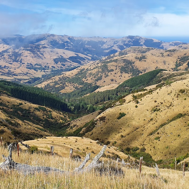 Mount Herbert/Te Ahu Patiki