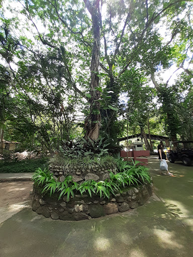 Las Cocuizas Park