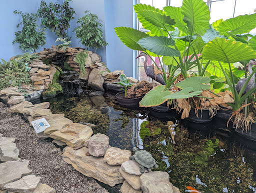 Pet Store «Woofmeow Family Pet Center», reviews and photos, 19 Manchester Rd Suite A, Derry, NH 03038, USA