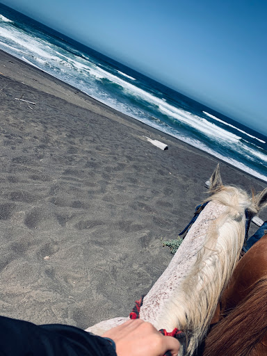 Stable «Ross Ranch», reviews and photos, 28300 Philo Greenwood Rd, Elk, CA 95432, USA