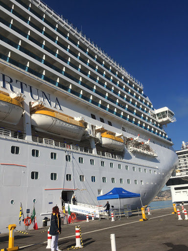 Cruise Agency «Aurora Cruises and Travel», reviews and photos, 1942 SE Port St Lucie Blvd, Port St Lucie, FL 34952, USA