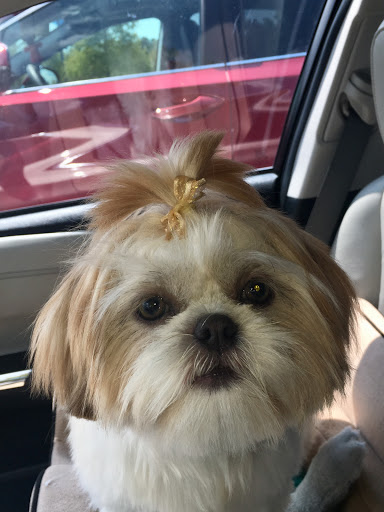 Pet Supply Store «Petco Animal Supplies», reviews and photos, 7303 Pinnacle Pkwy, Covington, LA 70433, USA