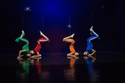 Aerial Dance dance company at Buenos Aires