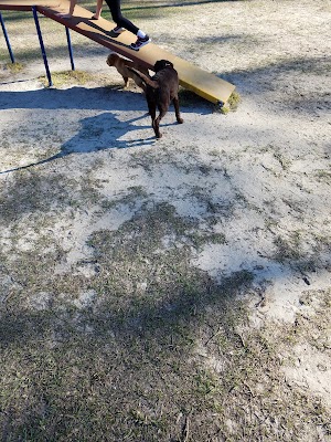 Fort Stewart Dog Park - photo 12