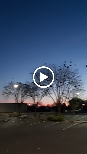 Hardware Store «Orchard Supply Hardware», reviews and photos, 700 N 11th Ave, Hanford, CA 93230, USA