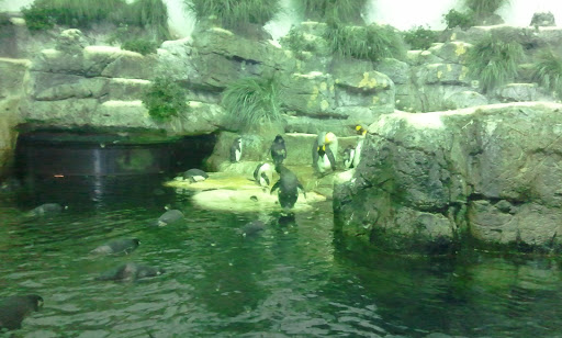 Shopping Mall «Galvez Shopping Center», reviews and photos, 6228 Broadway St, Galveston, TX 77551, USA