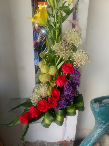 Floreria Jazmin – Rincón de Romos