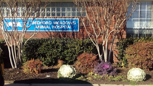 VCA Bedford Meadows Animal Hospital image 4