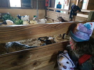 Photo n°27 de Centerparcs: KidsClub à Hattigny ()