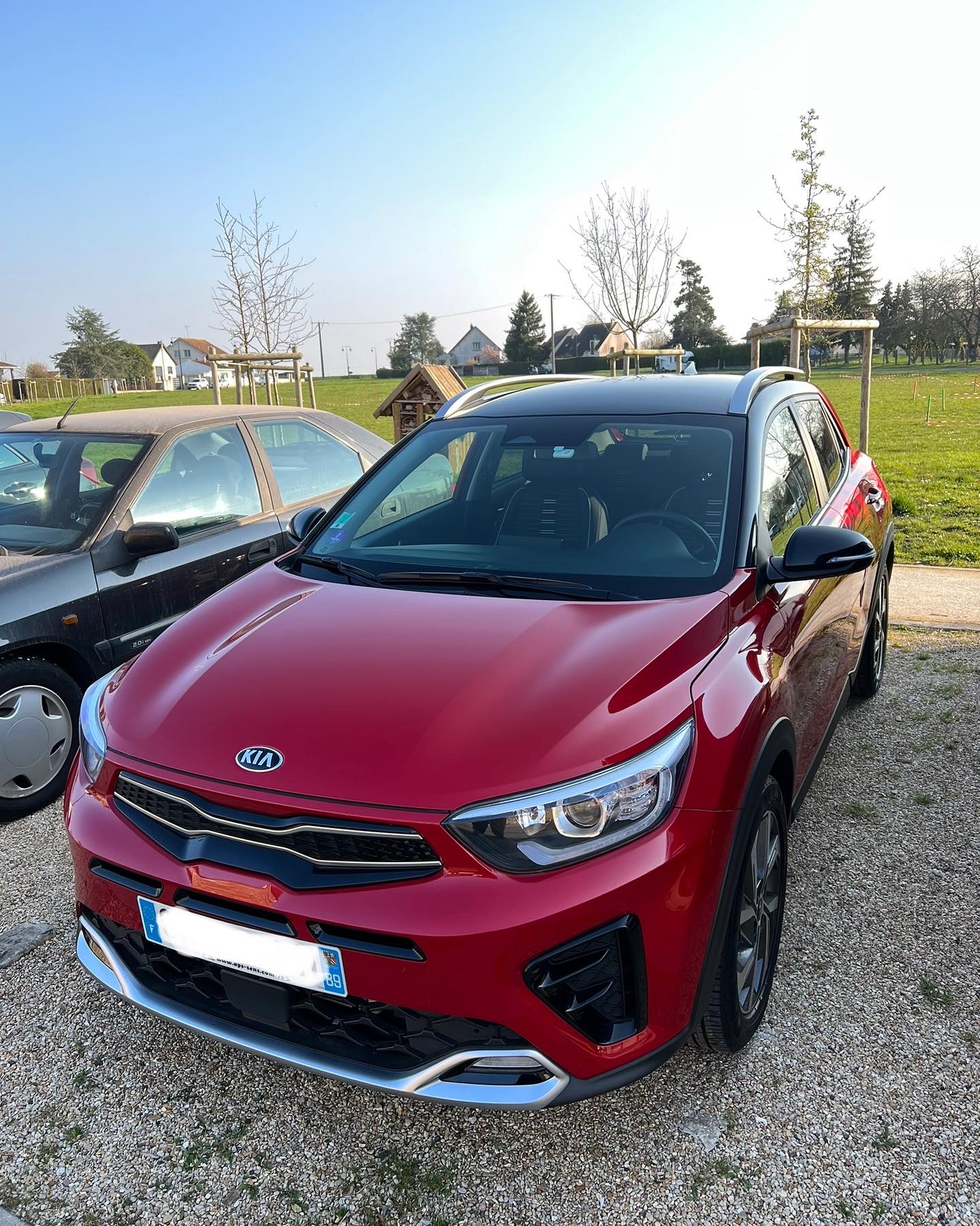 Photo n° 1 de l'avis de Stray.6 fait le 31/03/2022 à 07:56