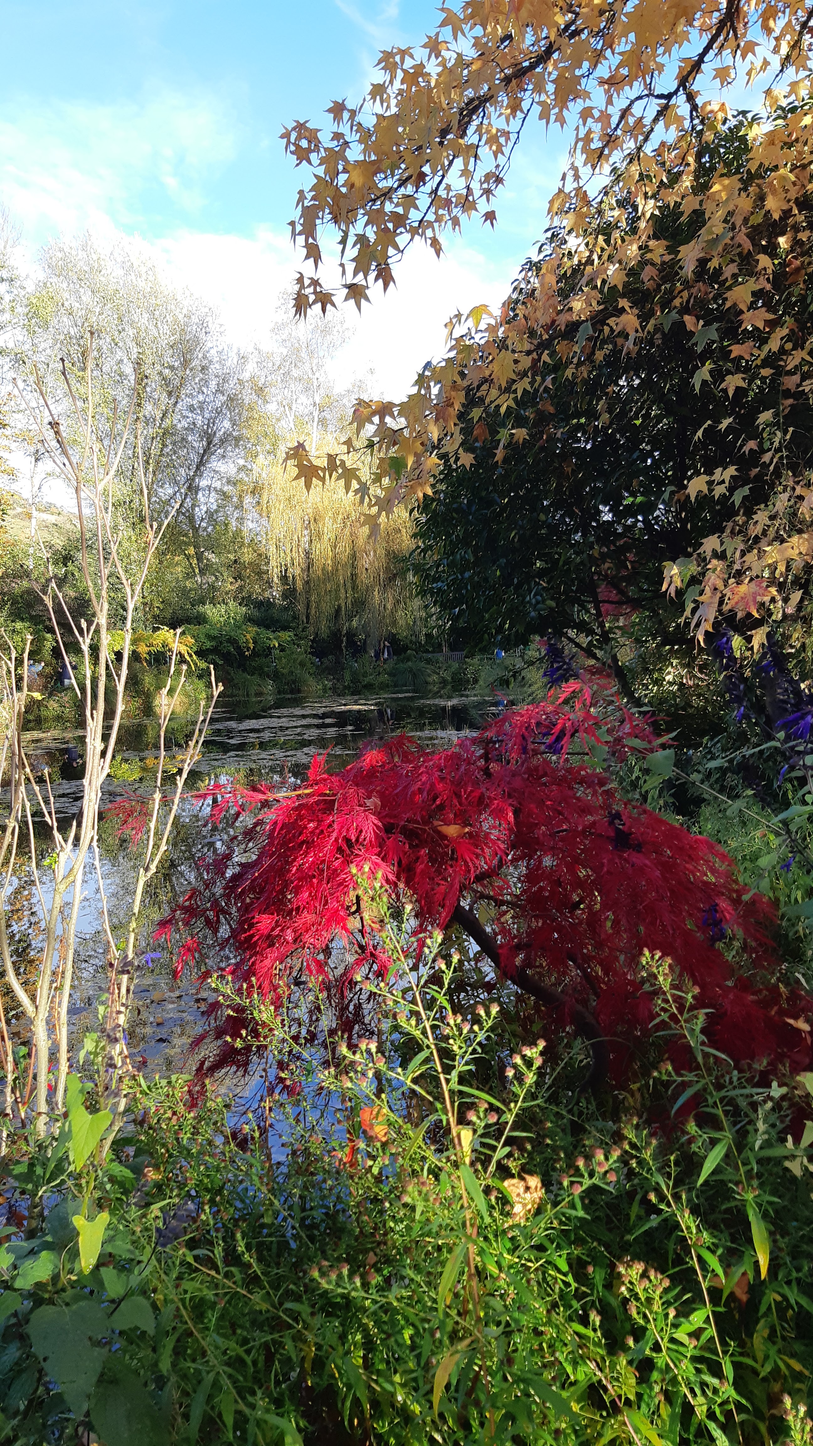 Photo n° 9 de l'avis de Jeanine.i fait le 02/11/2021 à 13:30