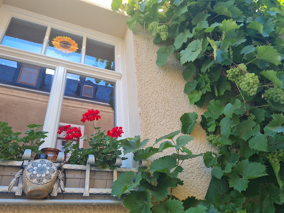 Extérieur hôtels K5-Suites Altstadt Annaberg 09456 Annaberg-Buchholz