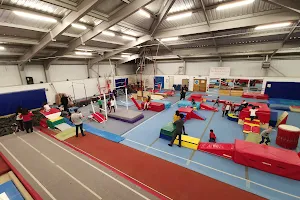 Harrow School of Gymnastics image