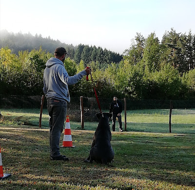 Centre canin Les gardiens du Livradois à Olliergues