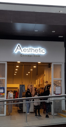 Aesthetic Concept Store