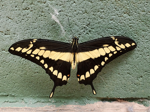 Amusement Center «OdySea in the Desert», reviews and photos, 9500 East Vía de Ventura, Scottsdale, AZ 85256, USA