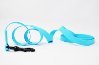 Personify Pets (Expressed Impressions) - Photo 7 - Car repair in Buffalo, NY, Buffalo