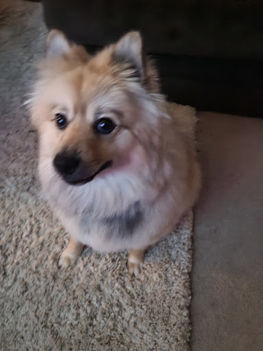 Pet Supply Store «Pets Earth», reviews and photos, 8410 S 73rd Plaza, Papillion, NE 68046, USA