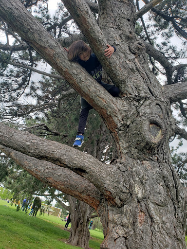 Park «Cranmer Park», reviews and photos, 4501 E 1st Ave, Denver, CO 80220, USA