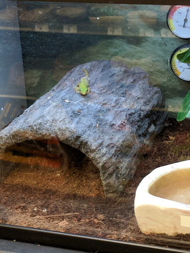 Pet Supply Store «Petco Animal Supplies», reviews and photos, 244 Pioneer Trail, Chaska, MN 55318, USA