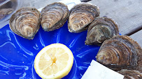 Huître du Restaurant de fruits de mer La Dégust' à Saint-Méloir-des-Ondes - n°15