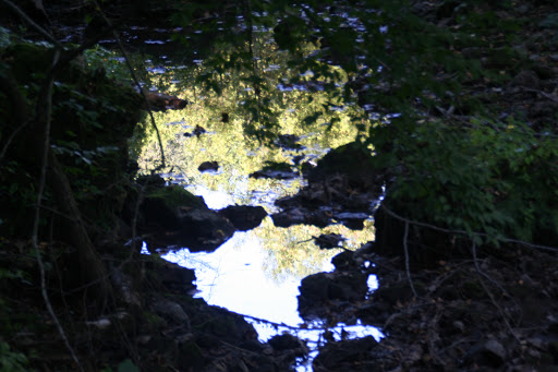 Nature Preserve «Caesar Creek Gorge State Nature Preserve», reviews and photos, 4080 Corwin Rd, Oregonia, OH 45054, USA