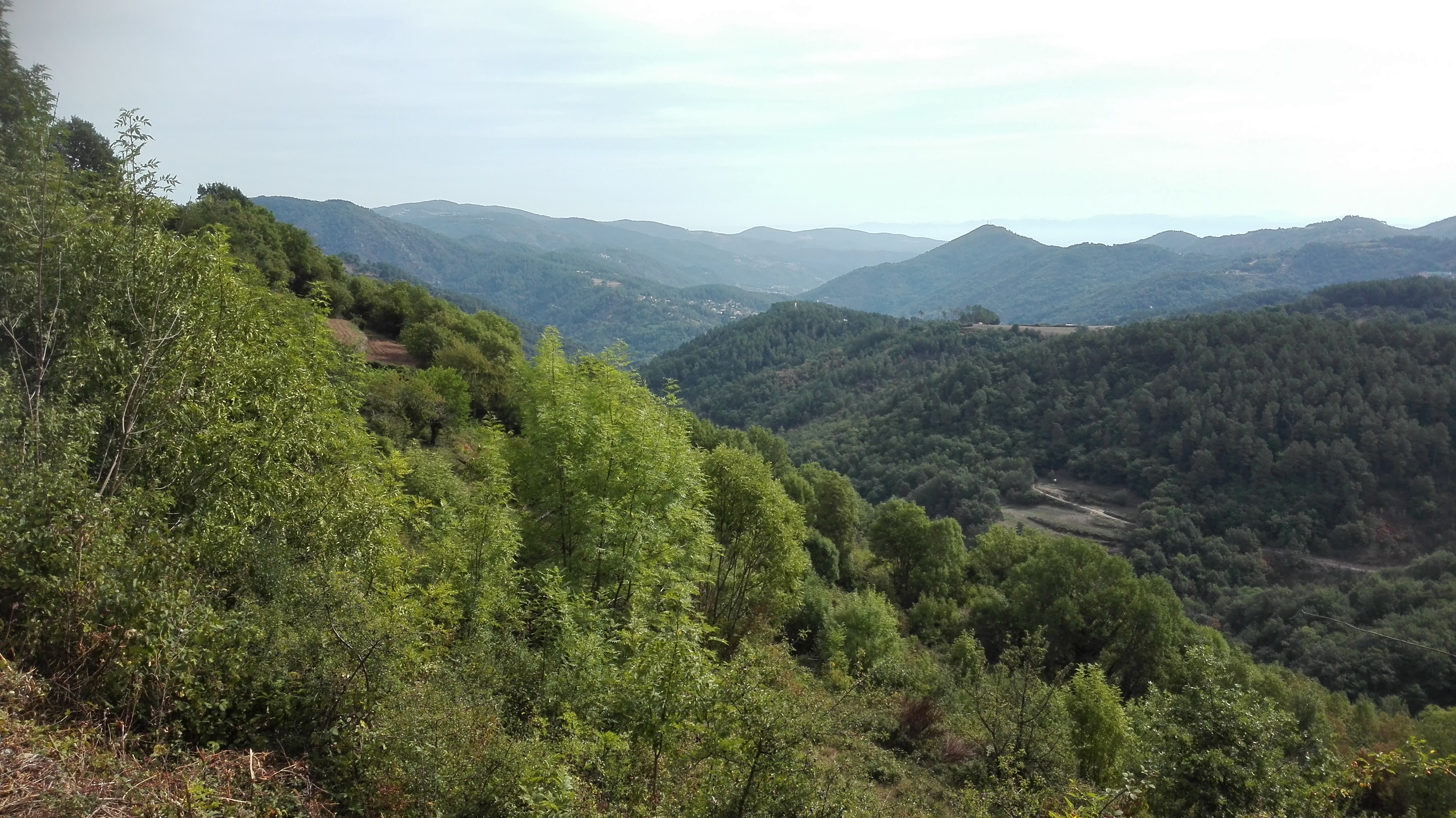 Photo n° 1 de l'avis de Olivier.o fait le 18/08/2017 à 19:12