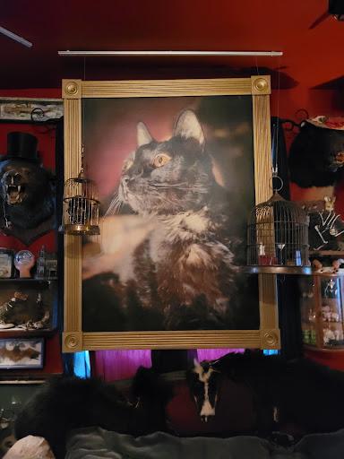 Tourist Attraction «Trundle Manor», reviews and photos, 7724 Juniata St, Pittsburgh, PA 15218, USA