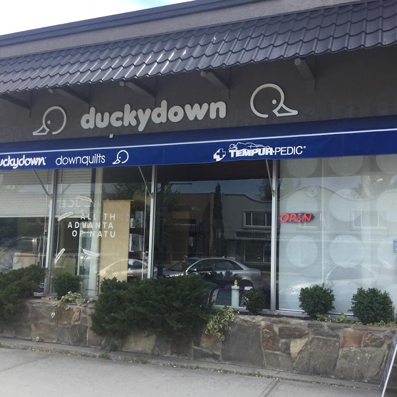 Ducky Down Down Quilts