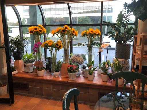 Florist «Bruce Flowers», reviews and photos, 454 Main Ave, Norwalk, CT 06851, USA